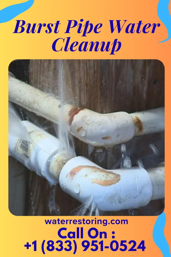 Burst Pipe Water Cleanup in Fairview, NJ