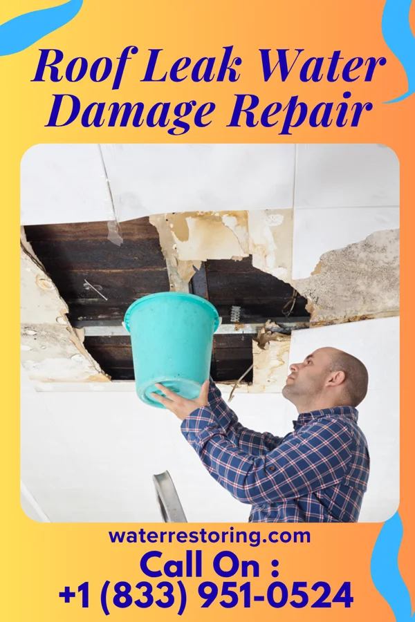 Roof Leak Water Damage Repair in Fairview, NJ
