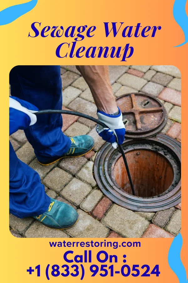 Sewage Water Cleanup in Fairview, NJ