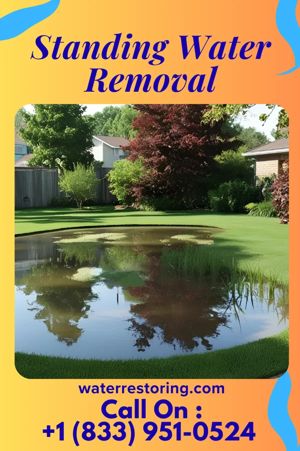Standing Water Removal in Fairview, NJ